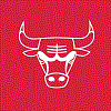 GM Chicago Bulls