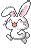 Young bunny